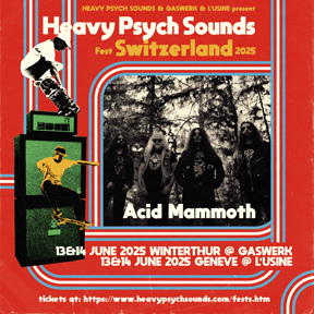 HPS Fest - Switzerland 2025 - Acid Mammoth